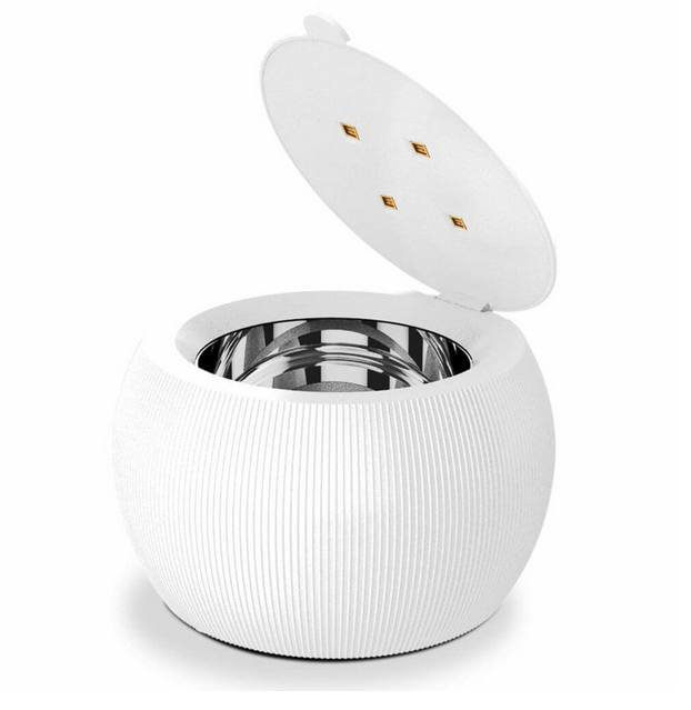 Swisspod | Ultrasonic Denture and Retainer Cleaner