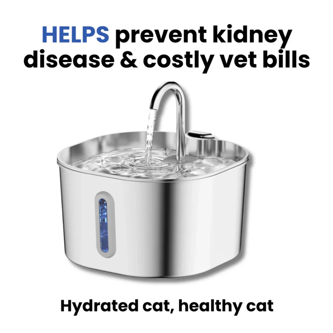 Swissclear Hydronix™ Cat Hydration Station