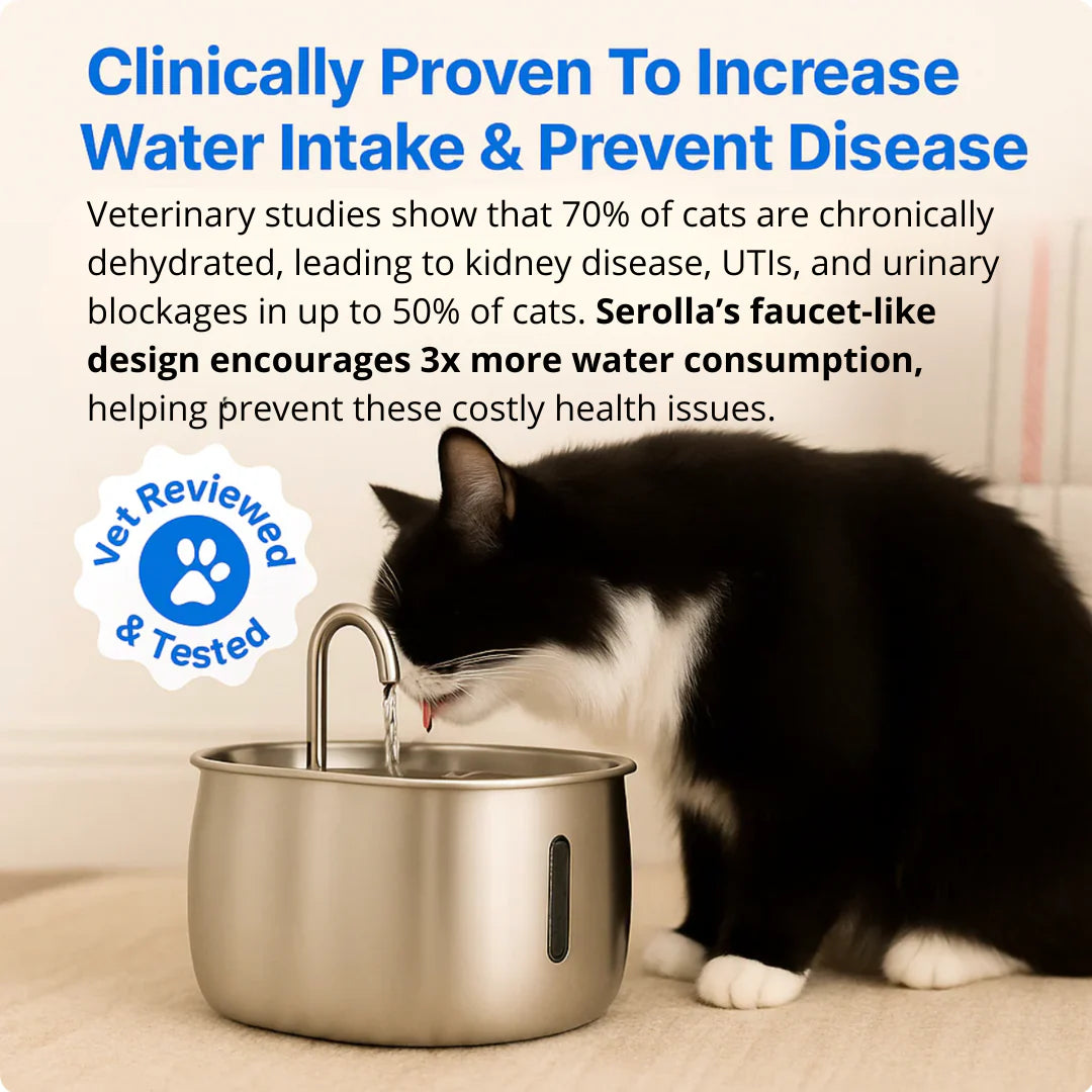 Swissclear Hydronix™ Cat Hydration Station